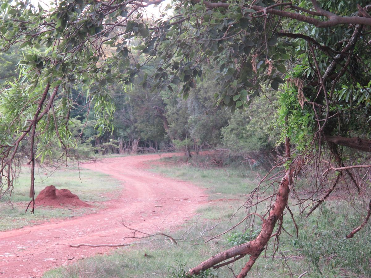 Harties Is Africa Safari Lodge Kosmos 外观 照片