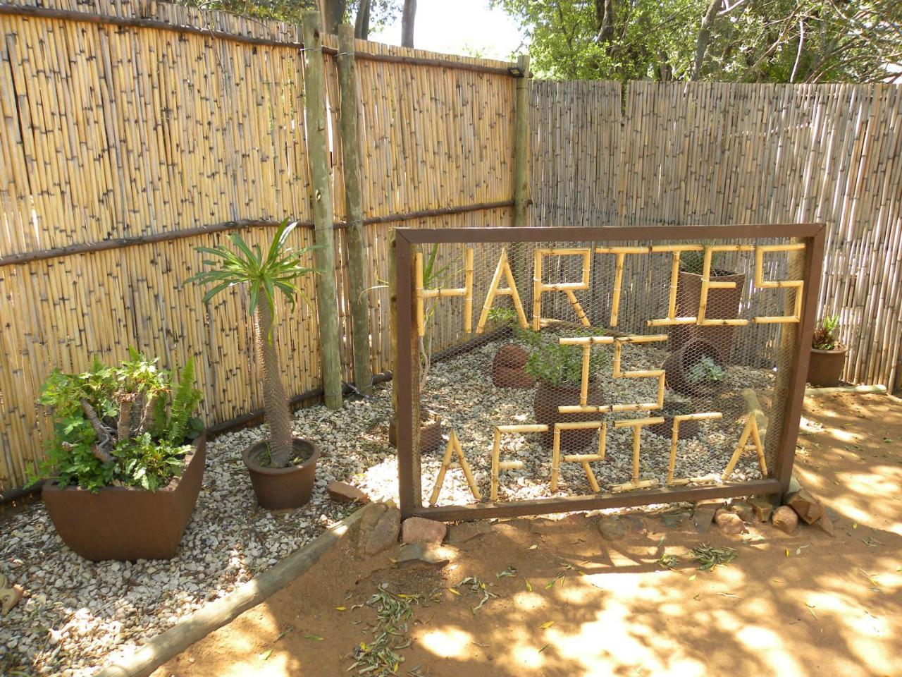 Harties Is Africa Safari Lodge Kosmos 外观 照片