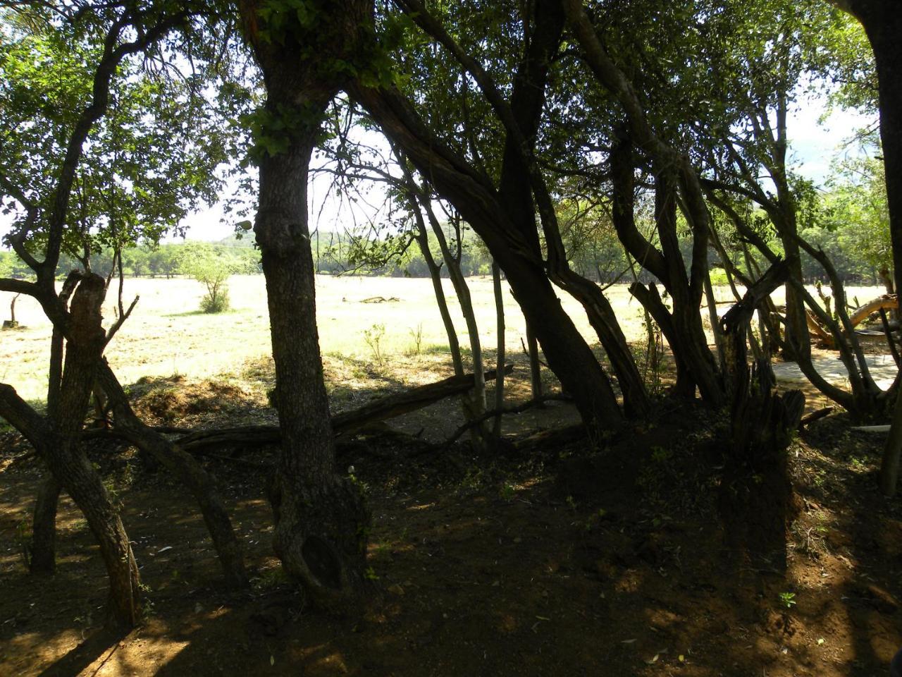 Harties Is Africa Safari Lodge Kosmos 外观 照片
