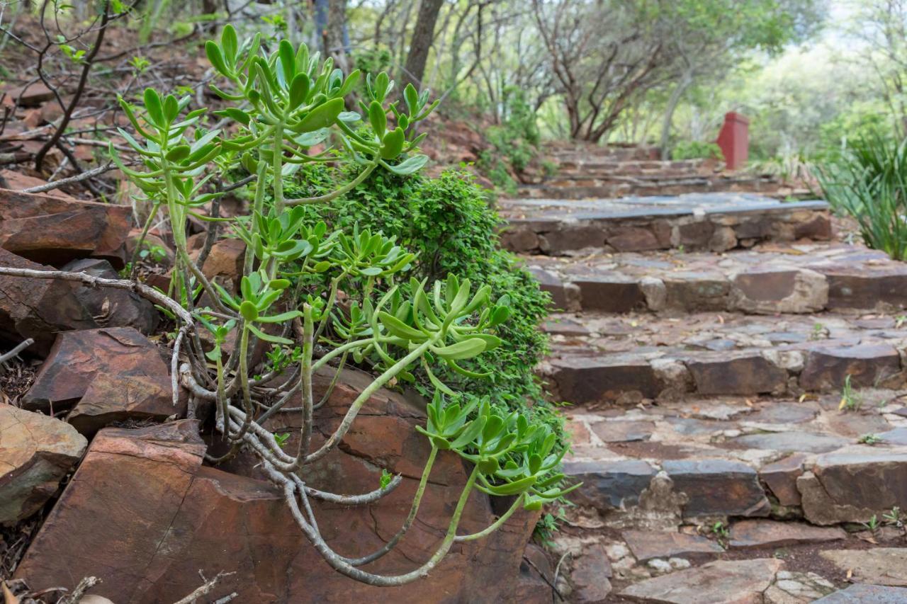 Harties Is Africa Safari Lodge Kosmos 外观 照片