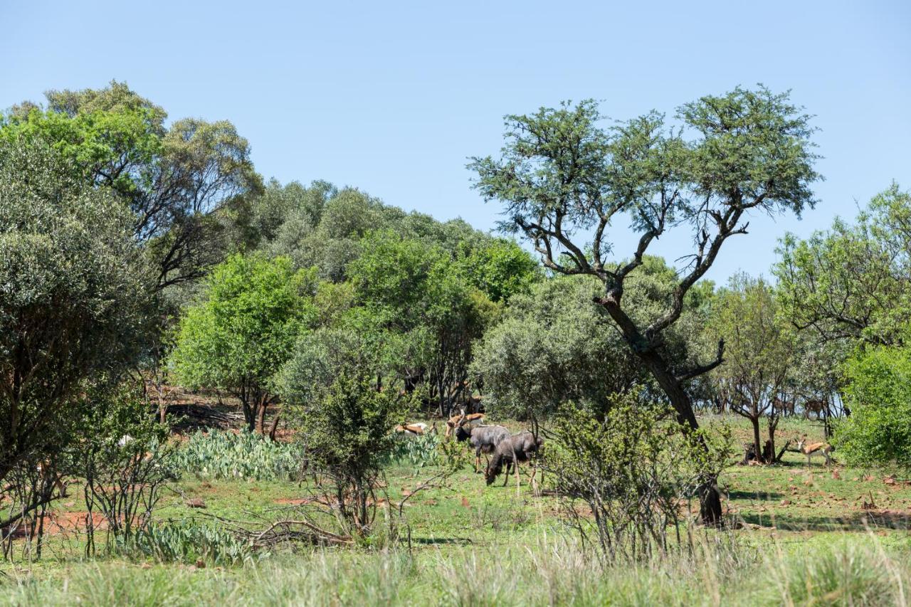 Harties Is Africa Safari Lodge Kosmos 外观 照片
