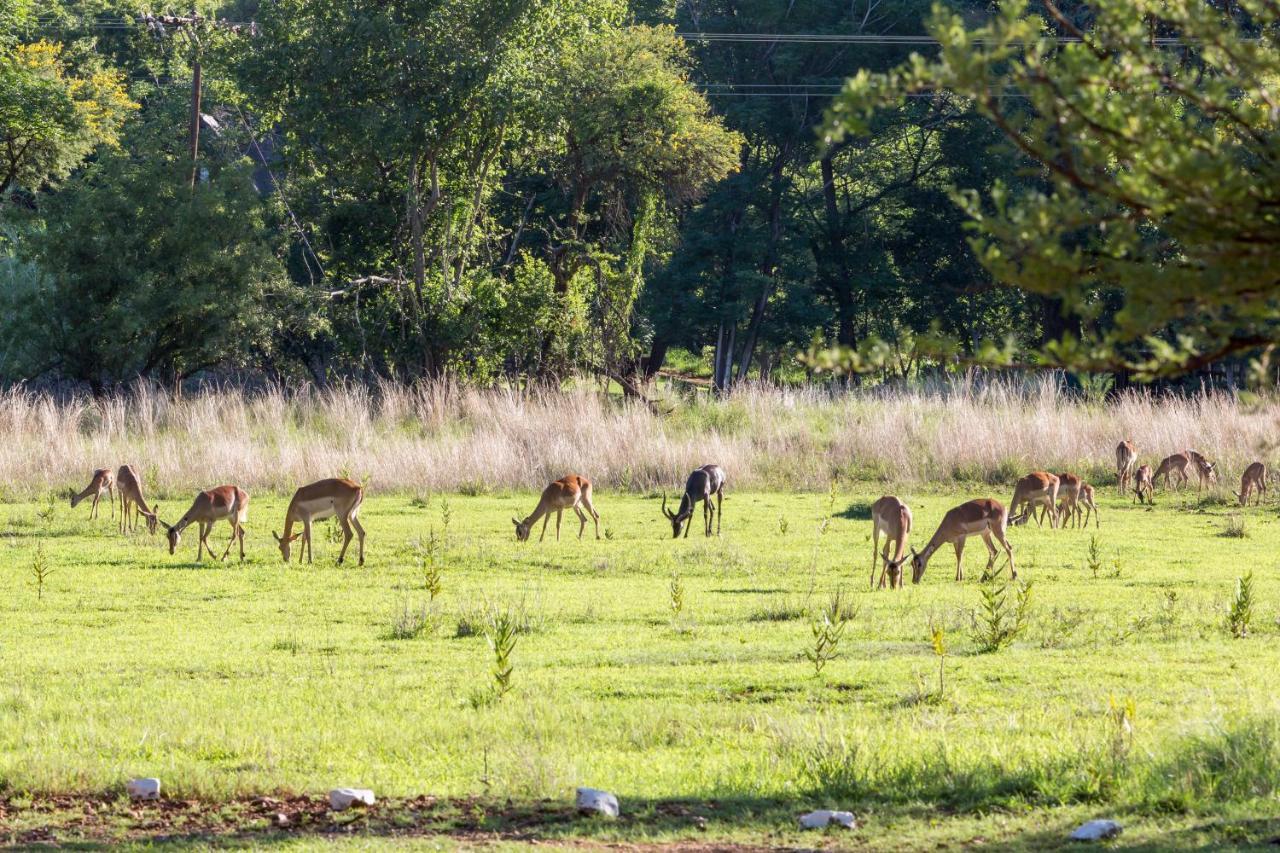 Harties Is Africa Safari Lodge Kosmos 外观 照片