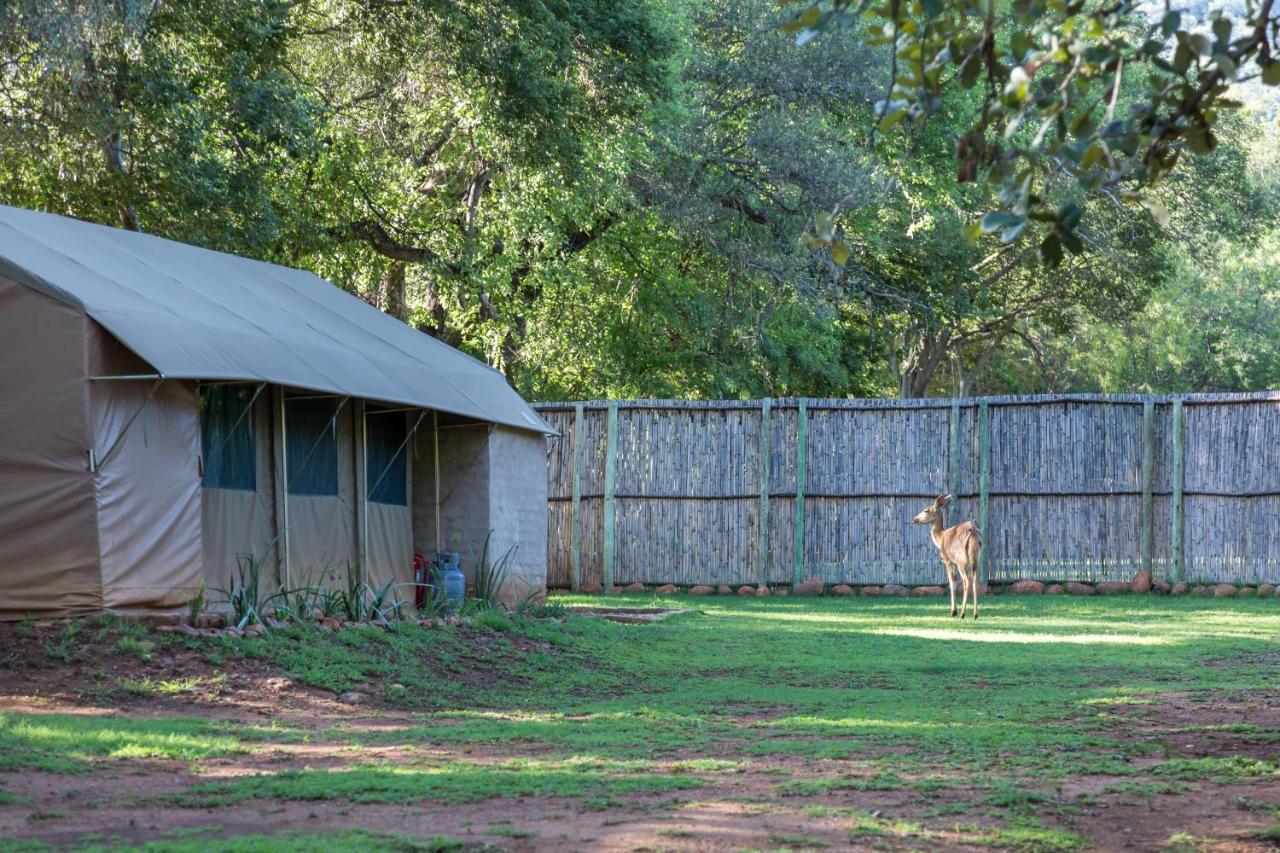Harties Is Africa Safari Lodge Kosmos 外观 照片