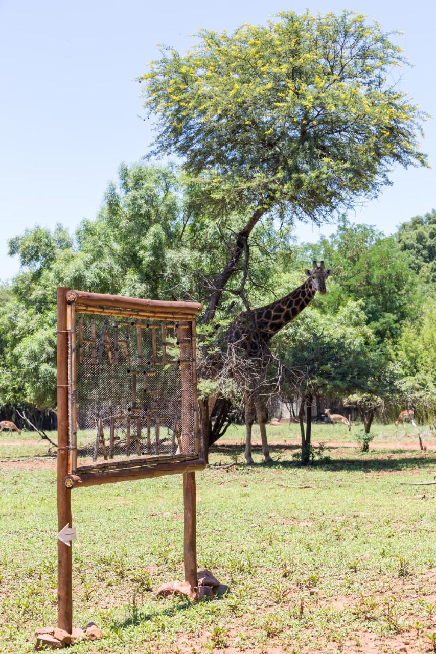 Harties Is Africa Safari Lodge Kosmos 外观 照片